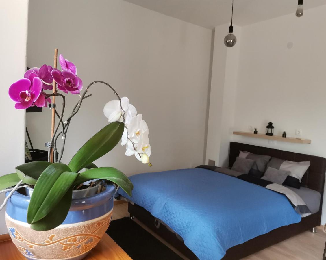 Apartments Sandra ロヴラン エクステリア 写真